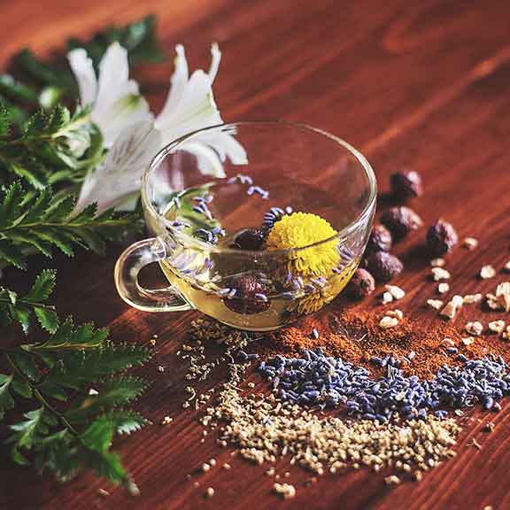 Ayurveda herbs